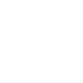 Clevver Worldwide Globe Clevver Worldwide Globe